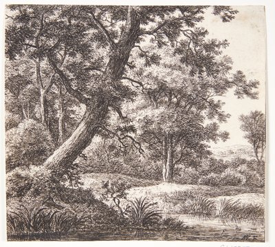  da Anthonie Waterloo