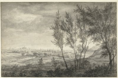 Veduta di Haarlem dalle dune da Anthonie Waterloo