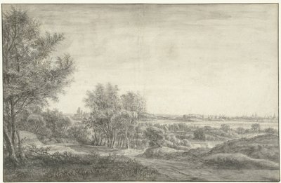 Vista dalle dune su Haarlem con le rovine della Casa di Kleef da Anthonie Waterloo