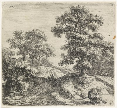 Grande quercia accanto a un sentiero da Anthonie Waterloo