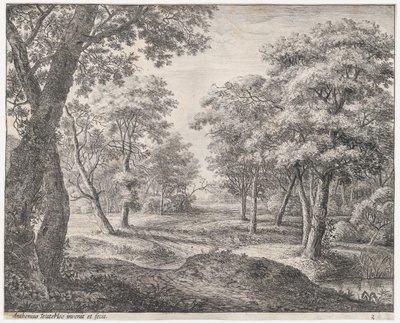 La strada attraverso il bosco da Anthonie Waterloo