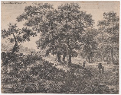 I tre alberi, XVII secolo da Anthonie Waterloo