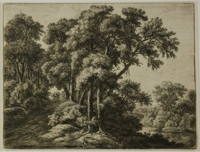 Il sentiero boscoso da Anthonie Waterloo
