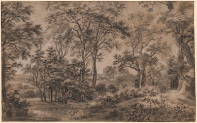 Paesaggio boscoso da Anthonie Waterloo