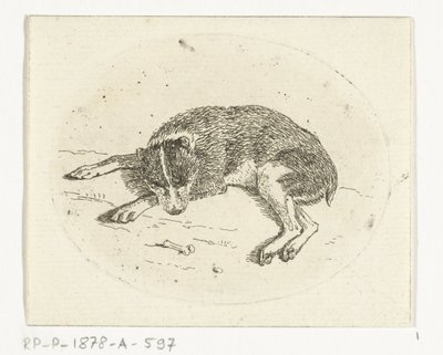 Cane sdraiato da Anthonie van den Bos