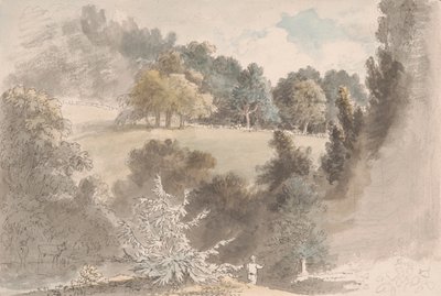 Paesaggio con alberi da Anthony Devis