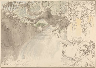 Cascata e Tronco d