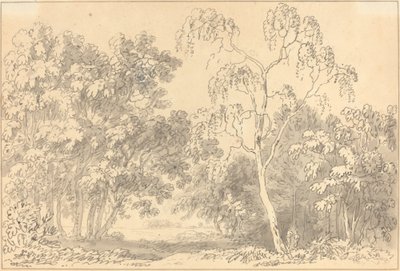 Paesaggio boscoso da Anthony Devis