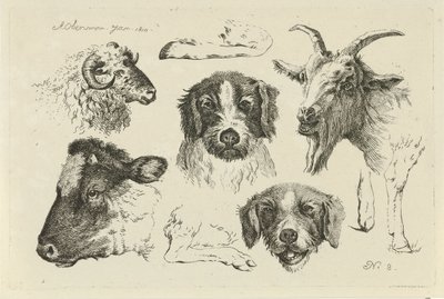 Teste e zampe di animali da Anthony Oberman