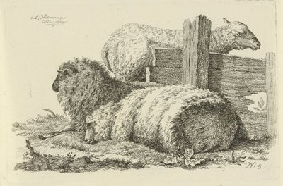 Pecora e ariete sdraiati (Studi di mucche, pecore e capre) da Anthony Oberman