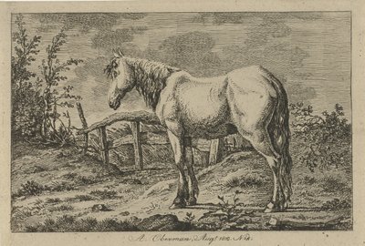 Cavallo in piedi da Anthony Oberman