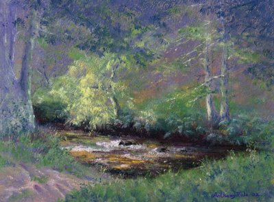 Ruscello nella foresta da Anthony Rule
