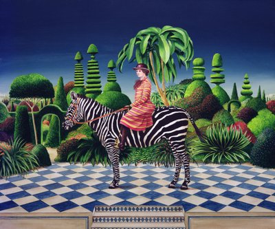 Signora su una zebra da Anthony Southcombe