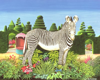 Zebra in un giardino da Anthony Southcombe