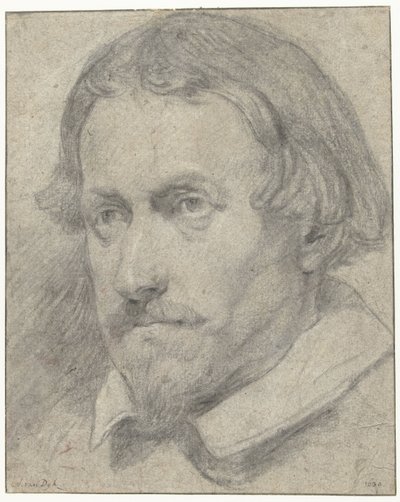 Testa di uomo da Anthony van Dyck (possibly)