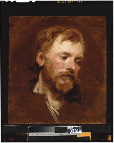 Un uomo barbuto, uno studio da Anthony van Dyck