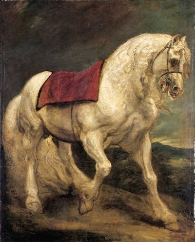 Uno stallone grigio imbrigliato, con un panno da sella e criniera parzialmente intrecciata: un modello da Anthony van Dyck
