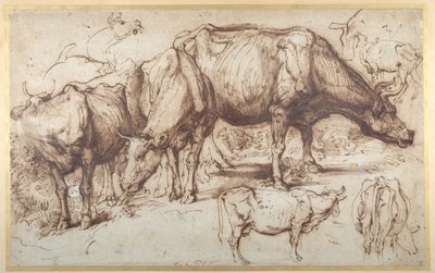 Bestiame al pascolo, c.1618-20 da Anthony van Dyck