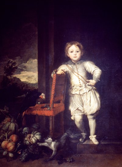 Bambino in abito bianco da Anthony van Dyck
