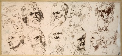 Undici studi di teste da Anthony van Dyck