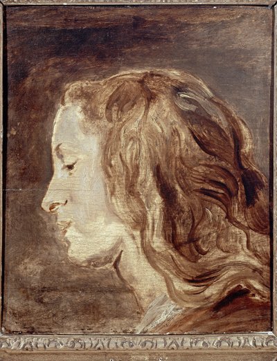 Studio della testa, prima metà del XVII secolo da Anthony van Dyck