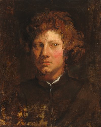 Testa di un Giovane Uomo da Anthony van Dyck