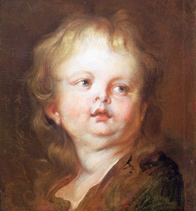 Testa di un ragazzo da Anthony van Dyck