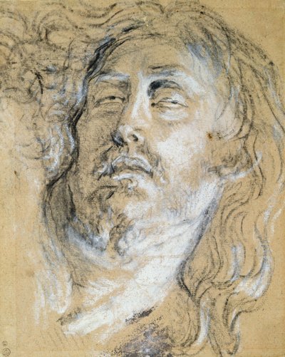 Testa del Cristo morto da Anthony van Dyck