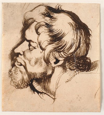 Testa di un uomo da Anthony van Dyck
