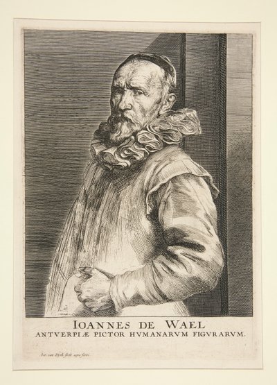 Ritratto di Jan de Wael (1558-1633) da Anthony van Dyck