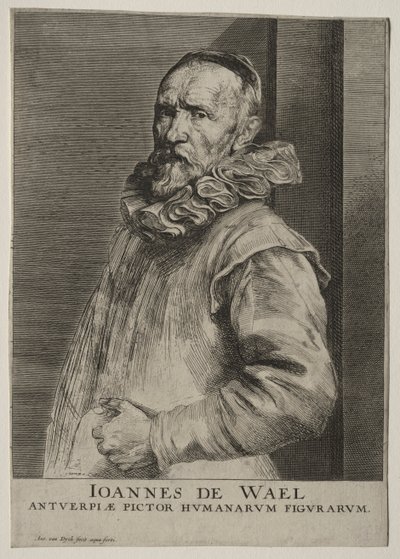 Ritratto di Jan de Wael Nevers da Anthony van Dyck