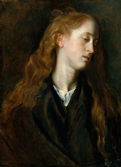 Studio della testa di una giovane donna da Anthony van Dyck