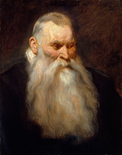 Studio della testa di un vecchio con barba bianca da Anthony van Dyck