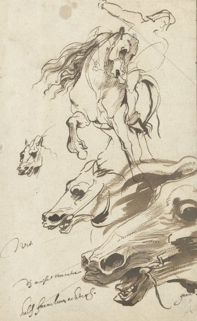Studio di cavaliere e testa di cavallo, 1620-1 da Anthony van Dyck