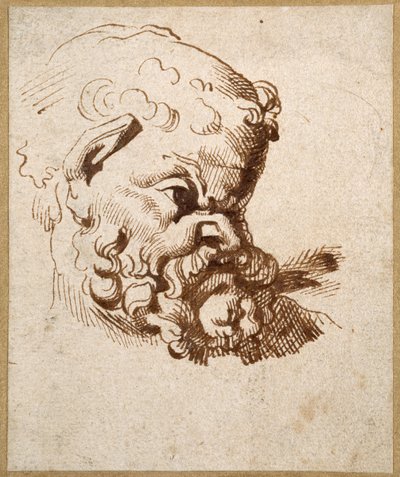 Studio di una testa antica di Sileno da Anthony van Dyck