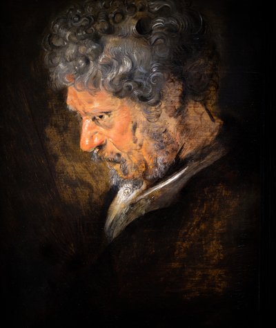 Studio di testa di vecchio: profilo sinistro (particolare) da Anthony van Dyck