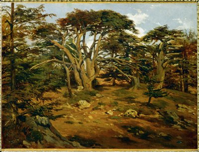 Le vieux cedres sur le Mont Liban - Vecchi cedri sulla catena del Libano ... da Antoine Alphonse Montfort
