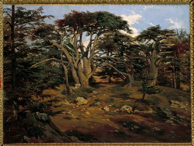 I vecchi cedri sul Monte Libano a Boumana da Antoine Alphonse Montfort