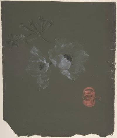 Design floreale da Antoine Berjon