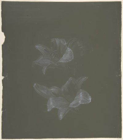 Design floreale da Antoine Berjon
