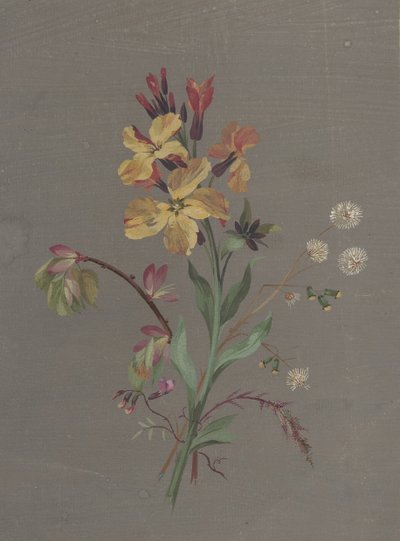 Disegno floreale da Antoine Berjon