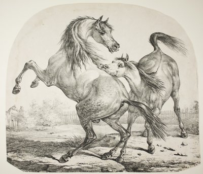 Cavalli selvaggi che combattono, c.1820 da Antoine Charles Horace Vernet