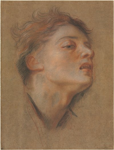 Testa di un giovane uomo, 1715-1717 da Antoine Coypel