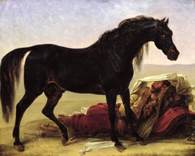 Un cavallo arabo da Antoine Jean Gros