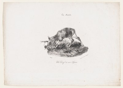 Un cervo e una lince, 1834 da Antoine Louis Barye