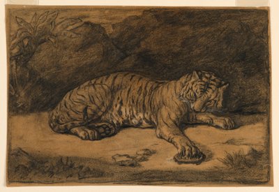 Una tigre e una tartaruga da Antoine Louis Barye