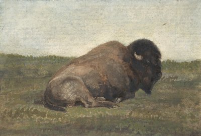 Bisonte sdraiato da Antoine Louis Barye