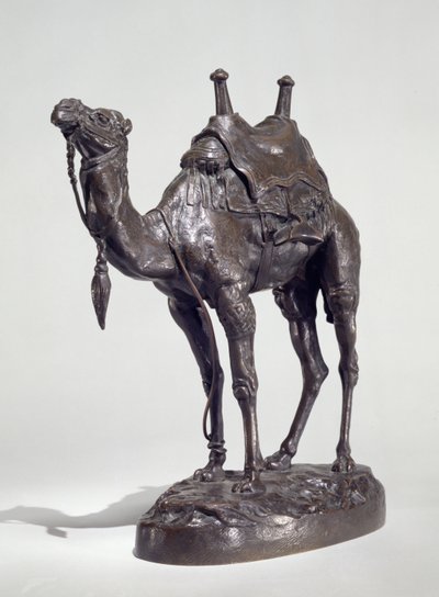 Dromedario egiziano con imbracatura da Antoine Louis Barye