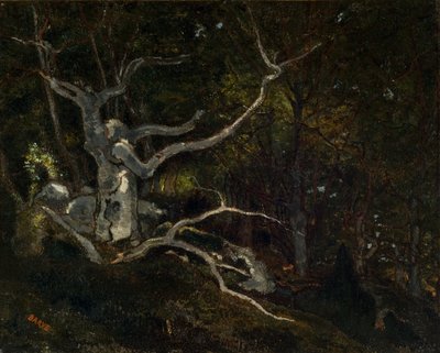 Foresta di Fontainebleau, La "Reine Blanche" 1860 da Antoine Louis Barye