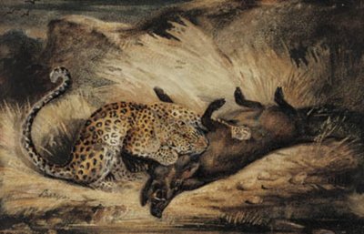 Leopardo che mangia un cinghiale da Antoine Louis Barye